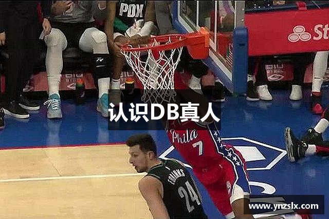 认识DB真人